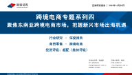 跨境电商专题系列四 聚焦东南亚跨境电商市场，把握新兴市场出海机遇