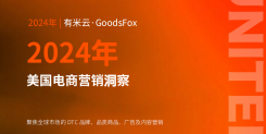 2024年美国电商营销洞察