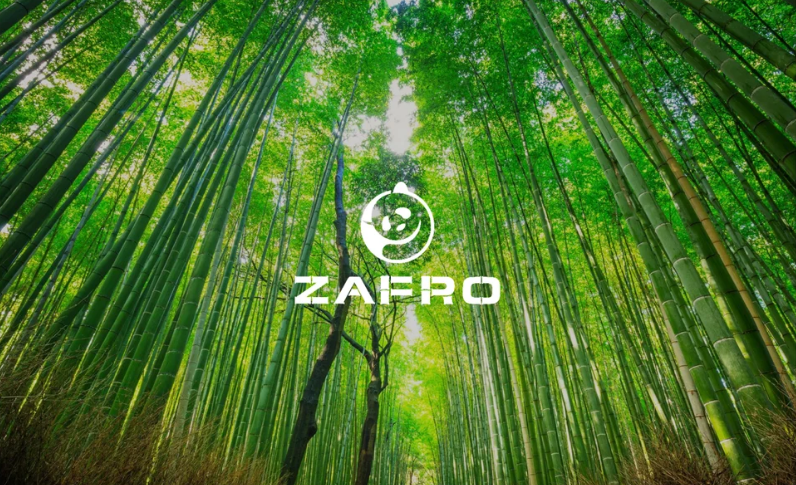 图片 亚马逊卖不动后,它在TikTok上年赚7个亿