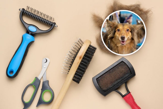 图片 74%毛利!一个小众扫帚正在海外宠物圈疯卖