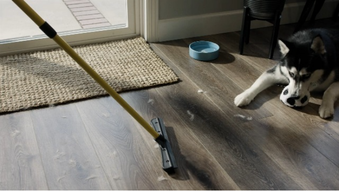 74%毛利！一个小众扫帚正在海外宠物圈疯卖