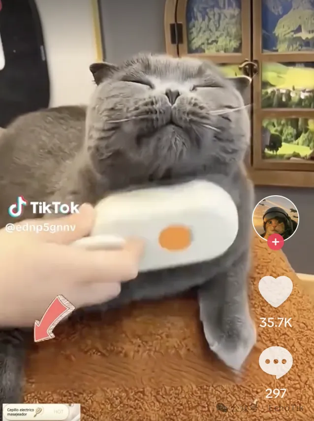 墨西哥宠物经济爆发！TikTok小店仅2款单品月销1.3万件登顶Top20​