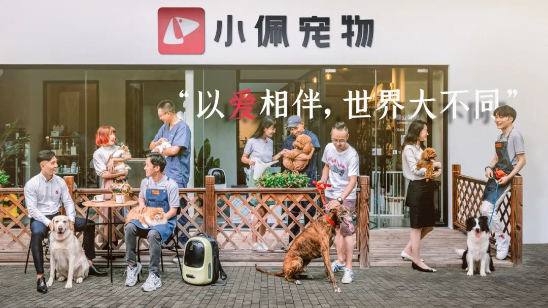 中国宠物品牌PETKIT全球化布局 30国2000万用户背后的双引擎战略