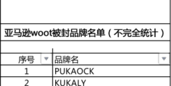 亚马逊WOOT被封品牌名单