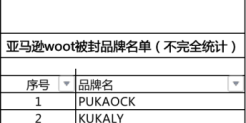 亚马逊WOOT被封品牌名单