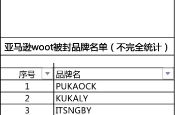 亚马逊WOOT被封品牌名单