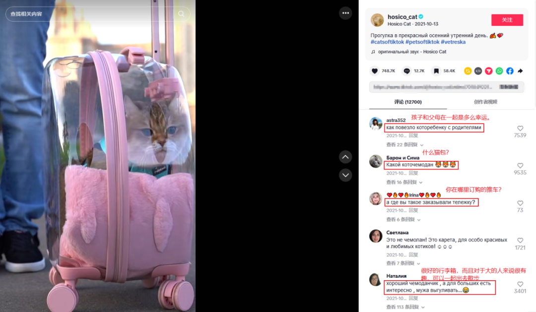 出海狂揽2个亿！上海宠物品牌靠‘颜值经济’征服北美铲屎官