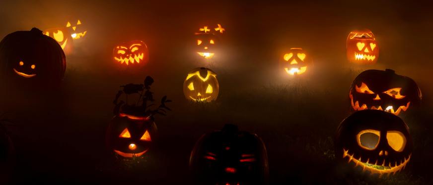 2025万圣节消费趋势：魔法灯饰热销 美国市场预计达117亿美元​
