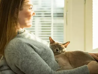 “三无”智能猫砂盆，出圈7个月狂揽2亿元