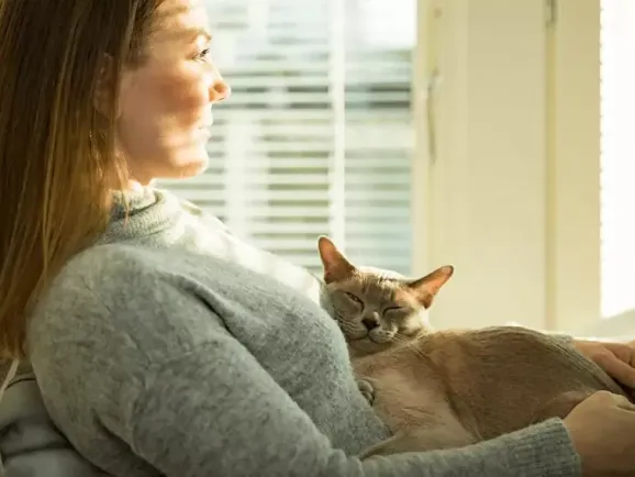 “三无”智能猫砂盆，出圈7个月狂揽2亿元