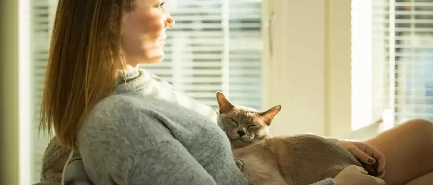 “三无”智能猫砂盆，出圈7个月狂揽2亿元