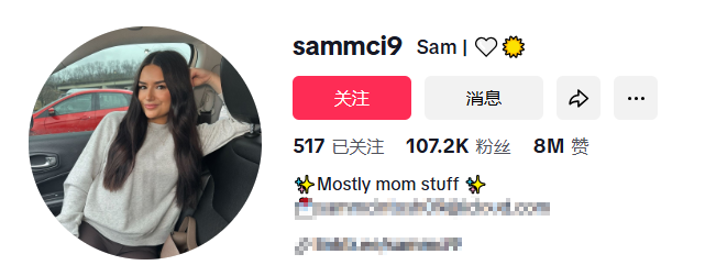 母婴品牌出海样本：Momcozy年营收35亿的三大关键策略​