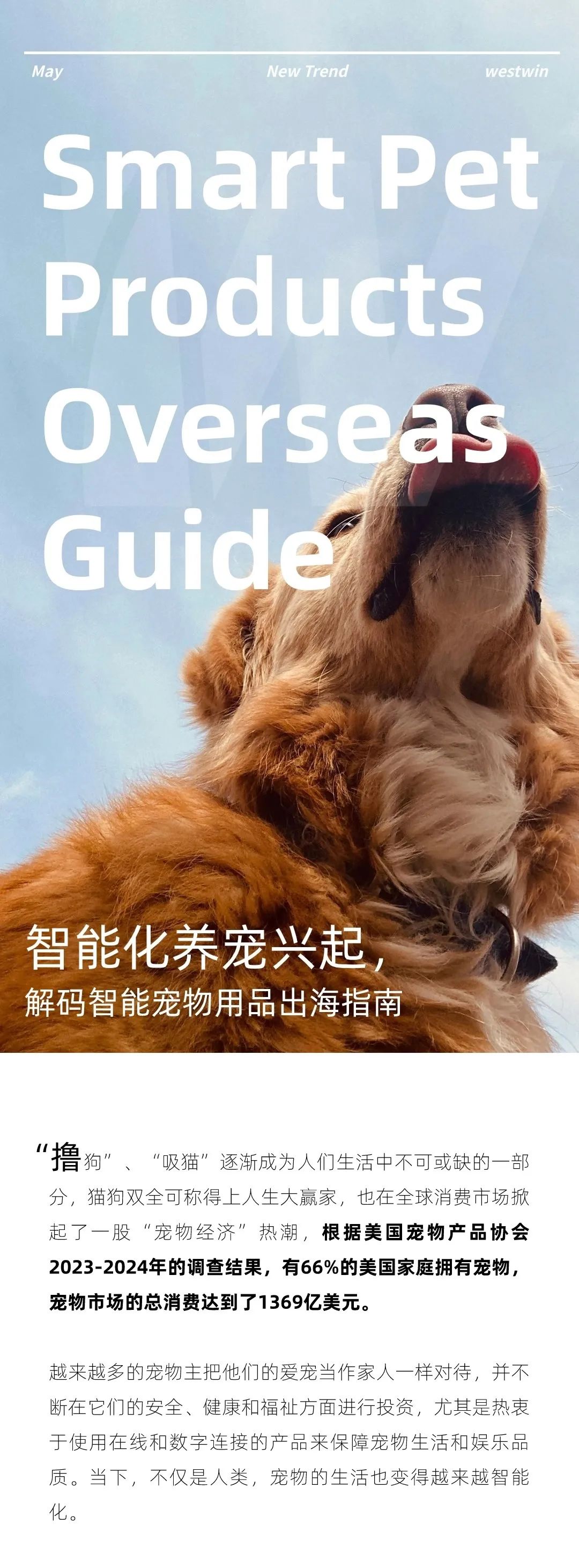 智能化养宠兴起：解码智能宠物用品出海指南