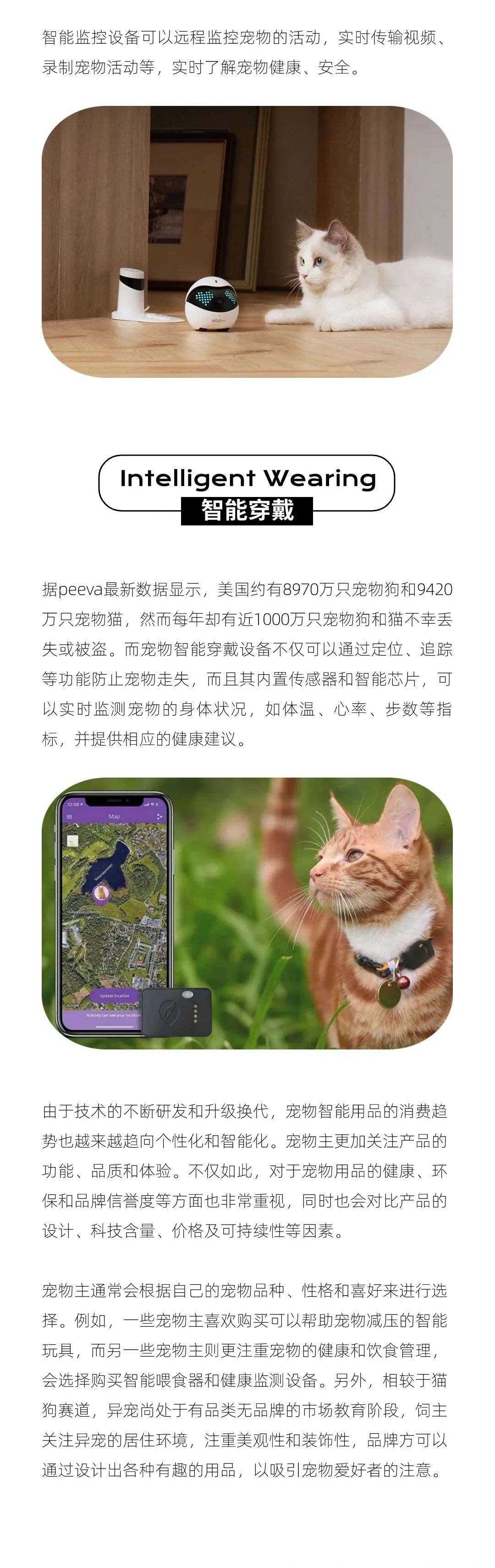 智能化养宠兴起：解码智能宠物用品出海指南