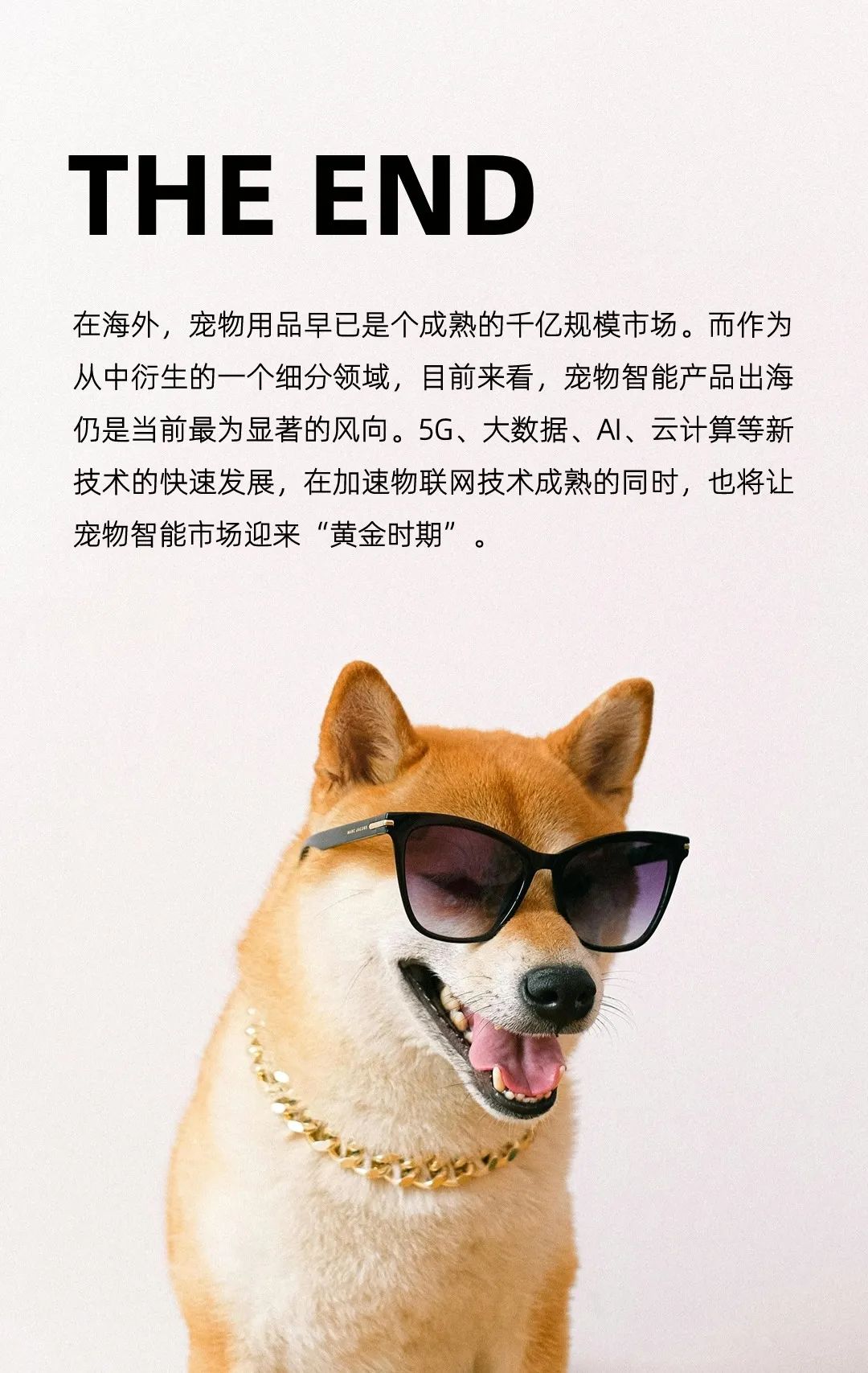 智能化养宠兴起：解码智能宠物用品出海指南