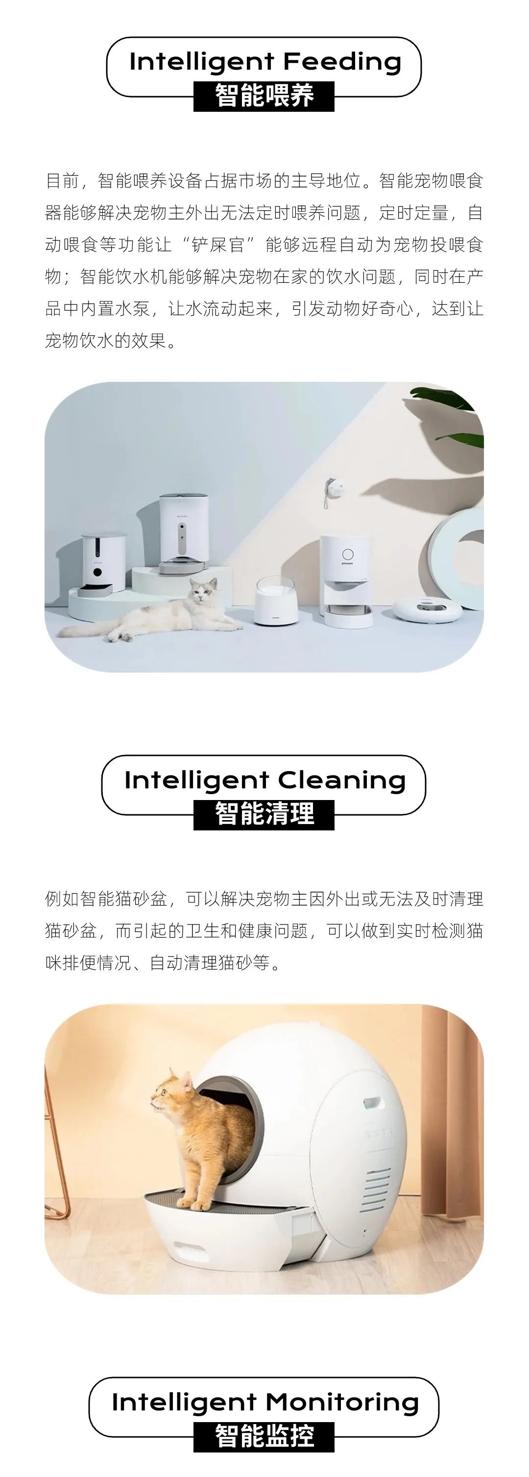 智能化养宠兴起：解码智能宠物用品出海指南
