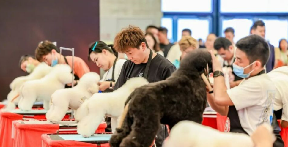 掘金东南亚宠物市场，这 4 大跨境电商展会不可错过