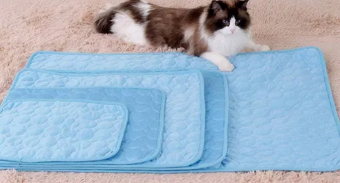 宠物降温垫成夏季爆款！700万播放短视频带火10万美元单品​