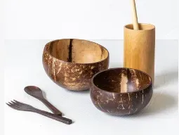 从几元到95元:一个椰子壳的环保商业奇迹