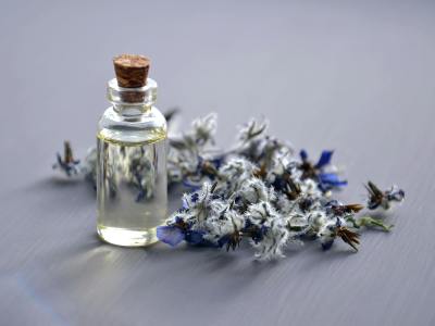 揭秘字节Seedance:全球AI的第二个好生意丨深氪