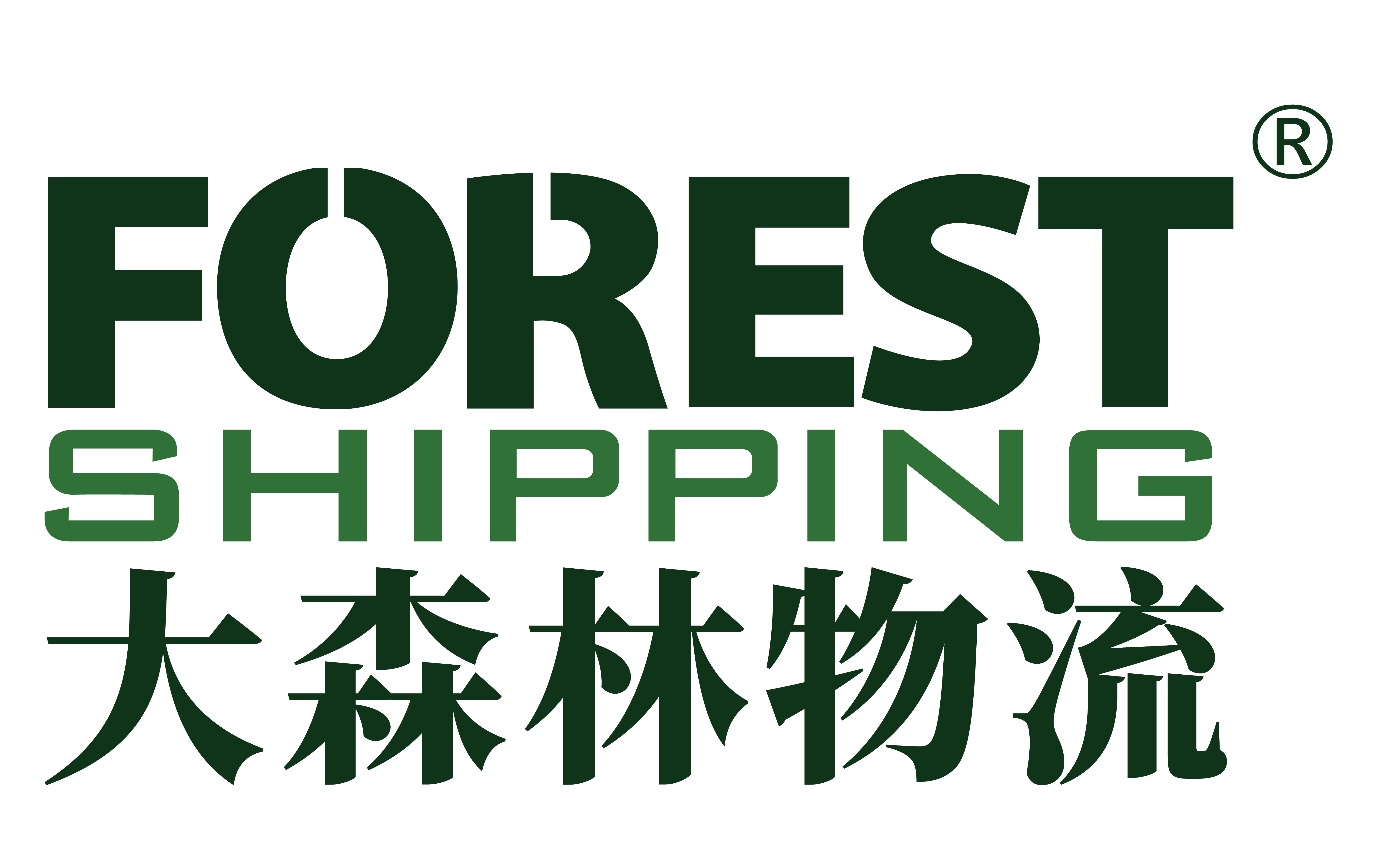 大森林全球物流（深圳）有限公司